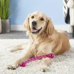 Kong Safestix Toy For Dogs - (color varies)