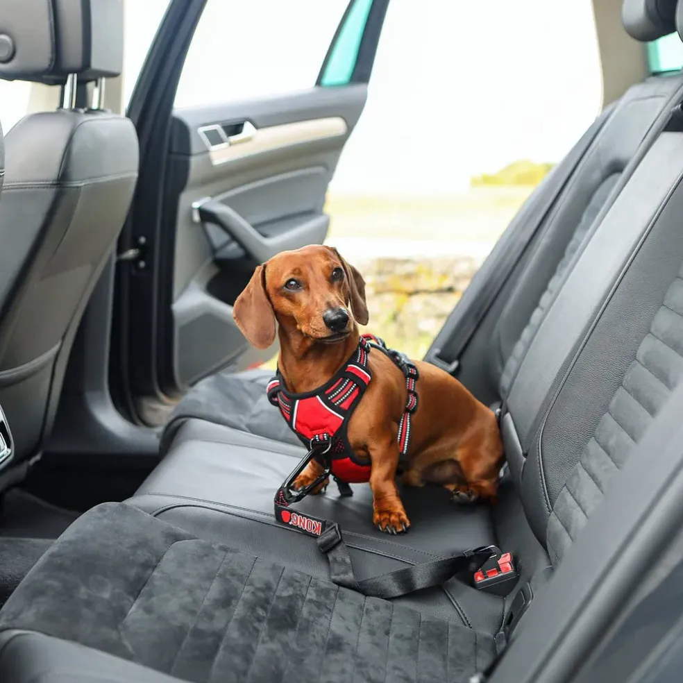 KONG Seat Belt Dog Tether