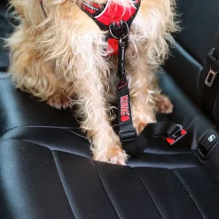 KONG Seat Belt Dog Tether