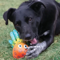 Kong Shieldz Tropics Gecko Toy For Dog