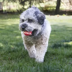 Kong Signature Red Ball Toy For Dogs