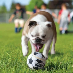 Kong Sport Balls Chew Toy For Dogs - (3 pack)