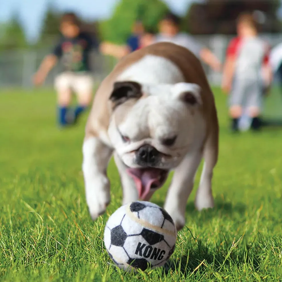 Kong Sport Balls Chew Toy For Dogs - (3 pack)