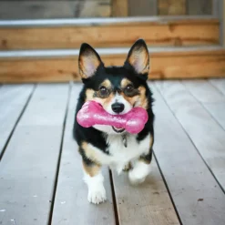 Kong Squeezz Crackle Stick Toy For Dogs (color varies)