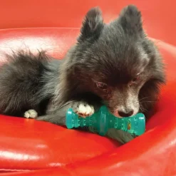 Kong Squeezz Dental Roller Chew Stick Toy For Dogs