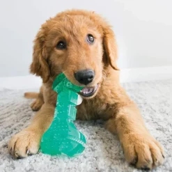 KONG Squeezz Dental Stick Toy for Dogs