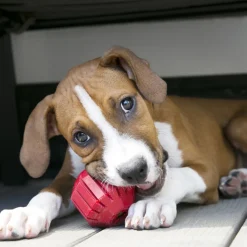 Kong Stuff-A-Ball Toy For Dogs