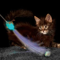 KONG Teaser Glow Firefly Cat Toy