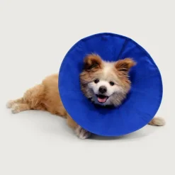 KVP Ez Soft Collar for Cats and Small Dogs, 5.5-12.25