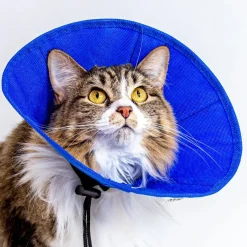 KVP Ez Soft Collar for Cats and Small Dogs, 5.5-12.25