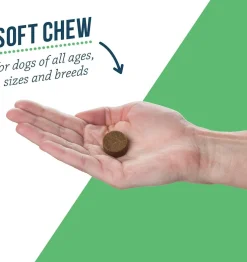 Lactoquil Digestive Health for Dogs (75 soft chews)