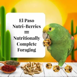 Lafeber El Paso Nutri-Berries Parrot Food (10 oz)
