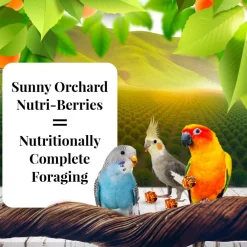 Lafeber Sunny Orchard Nutri-Berries Bird Food (10 oz)
