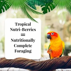 Lafeber Tropical Fruit Nutri-Berries Conure Food, 10-oz