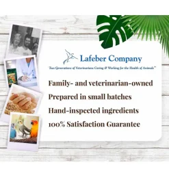 Lafeber Tropical Fruit Nutri-Berries Bird Food (10 oz)