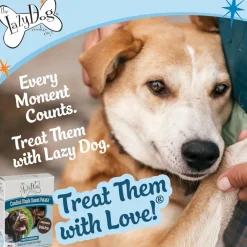 Lazy Dog Grain Free Toasted Vanilla Peanut Butter Treat For Dogs (14 oz)