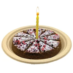 Lazy Dog Happy Birthday Pup-PIE for a Special Treats For Dogs (5 oz)