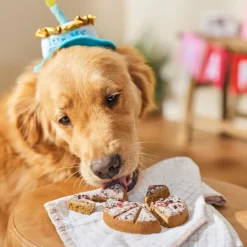 Lazy Dog Happy Birthday Pup-PIE for a Darling Girl Dog Treat (5 oz)