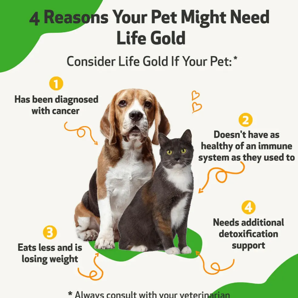 Life Gold - Trusted Care for Dog Cancer (2 oz)