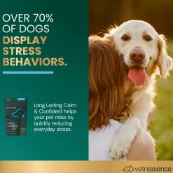 Long Lasting Calm & Confident Chews for Dogs