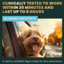 Long Lasting Calm & Confident Chews for Dogs