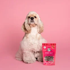 Lord Jameson Berry Best Organic Strawberry Soft & Chewy Treats For Dogs (6 oz)