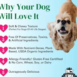 Lord Jameson Daily Greens Organic Spinach & Chia Seeds Soft & Chewy Treats For Dogs (6 oz)