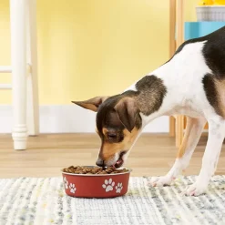 Loving Pets Classic Merlot Non-Skid Stainless Steel Pet Bowl