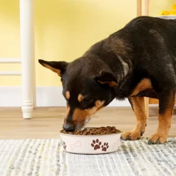 Loving Pets Classic Paparazzi Pink Non-Skid Stainless Steel Pet Bowl