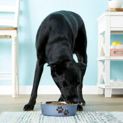 Loving Pets Metallic Blueberry Non-Skid Stainless Steel Pet Bowl
