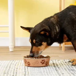 Loving Pets Metallic Champagne Non-Skid Stainless Steel Pet Bowl