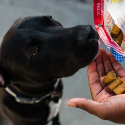 Loving Pets Totally Grainless Chicken & Cranberry Recipe Sausage Bites Dog Treats (6 oz)