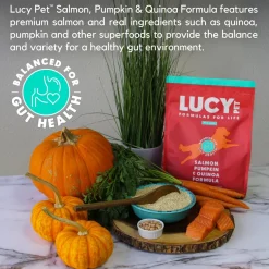 Lucy Pet Products Formulas for Life Grain-Free Salmon, Pumpkin & Quinoa Formula Dry Dog Food