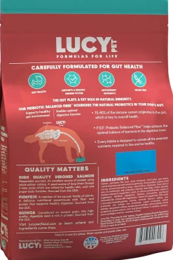 Lucy Pet Products Formulas for Life Grain-Free Salmon, Pumpkin & Quinoa Formula Dry Dog Food