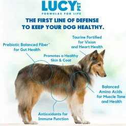 Lucy Pet Products Formulas for Life Grain-Free Duck, Pumpkin & Quinoa Formula Dry Dog Food