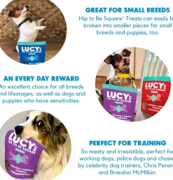 Lucy Pet Products Hip to Be Square Duck & Pumpkin Formula Dog Treats, 6-oz