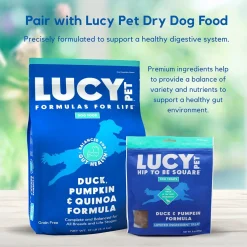 Lucy Pet Products Hip to Be Square Duck & Pumpkin Formula Dog Treats, 6-oz