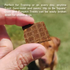 Lucy Pet Products Hip to Be Square Duck & Pumpkin Formula Dog Treats, 6-oz