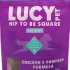 Lucy Pet Products Hip to Be Square Chicken & Pumpkin Formula Dog Treats, 6-oz