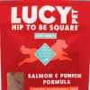 Lucy Pet Products Hip to Be Square Salmon & Pumpkin Formula Dog Treats, 6-oz
