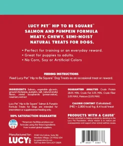 Lucy Pet Products Hip to Be Square Salmon & Pumpkin Formula Dog Treats, 6-oz