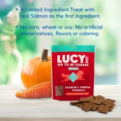 Lucy Pet Products Hip to Be Square Salmon & Pumpkin Formula Dog Treats, 6-oz