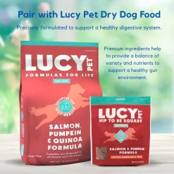 Lucy Pet Products Hip to Be Square Salmon & Pumpkin Formula Dog Treats, 6-oz