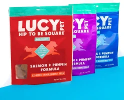 Lucy Pet Products Hip to Be Square Salmon & Pumpkin Formula Dog Treats, 6-oz