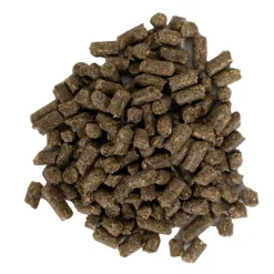 MannaPro AccuBites Radiance Mane & Tail Supplement