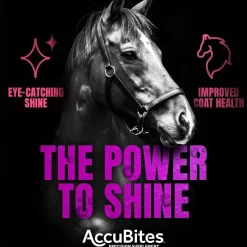 MannaPro AccuBites Radiance Mane & Tail Supplement