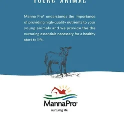 Manna Pro Alfalfa & Molasses Bite-Sized Nugget Treats for Horses
