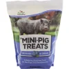 Manna Pro Berries & Cream Treats For Mini Pigs (4 lb)