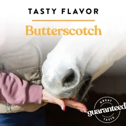 Manna Pro Butterscotch Bite-Sized Nugget Treats for Horses (4 lb)