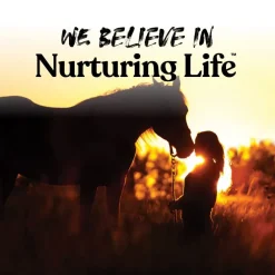 Manna Pro Butterscotch Bite-Sized Nugget Treats for Horses (4 lb)